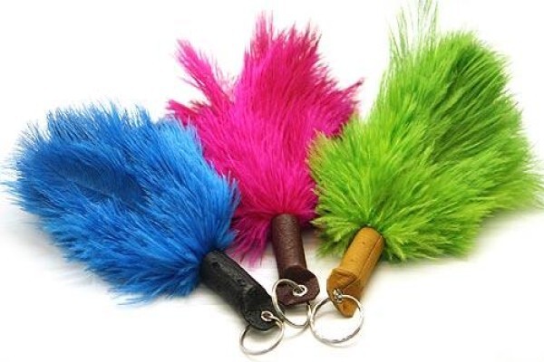 Quills From Africa