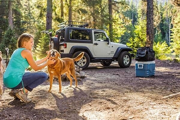 Prorack Roof Racks & Accessories