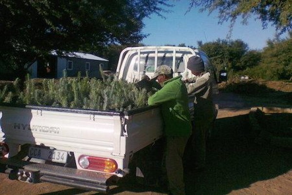 Renu-Karoo