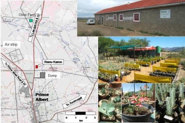 Renu-Karoo