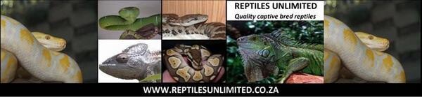 Reptiles Unlimited