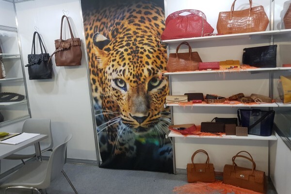 Reptile Trading (Pty) Ltd