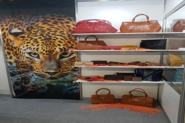 Reptile Trading (Pty) Ltd