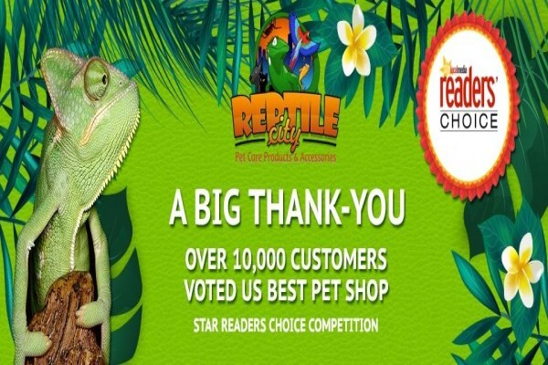 Reptilecity.Co.Za