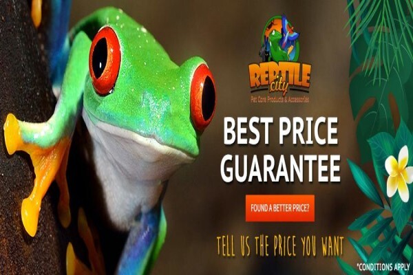 Reptilecity.Co.Za