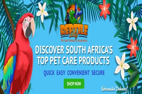Reptilecity.Co.Za