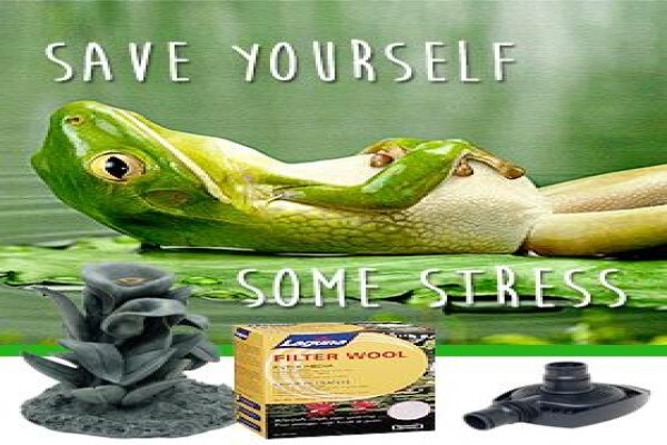 Reptilecity.Co.Za