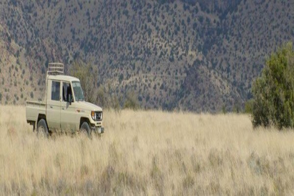 Richard Holmes Safaris