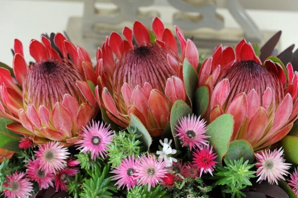 Rivendell Estate Functions & Bistro