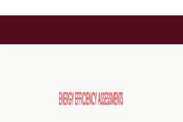 Rne Project Management