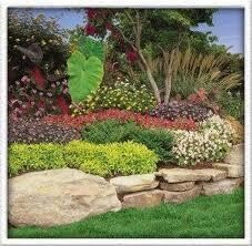 Rapid Landscaping And Garden Services
