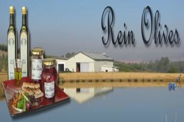Rein Oil Cape Town