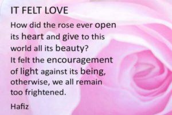 Relationship Counsellor - Pippa Solomon