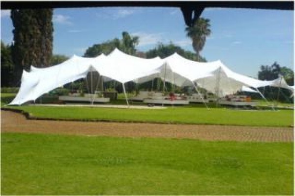 Beluga Events