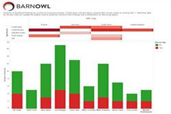 Barnowl