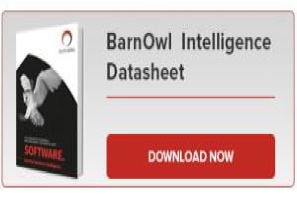 Barnowl