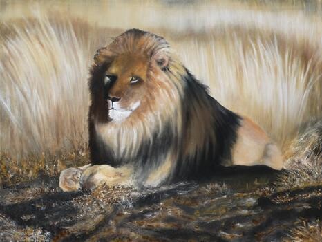 Barry Wildlife Art