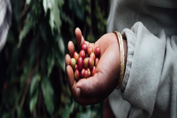 Bean There Coffee Company