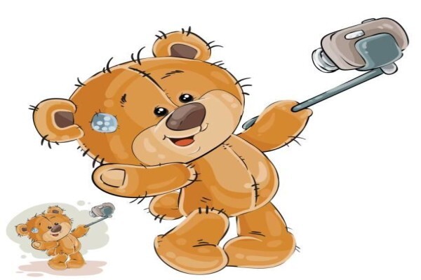 Bear Essentials