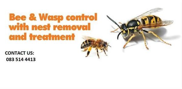 Bee And Wasp Removal /Bee Removals Johannesburg Gauteng