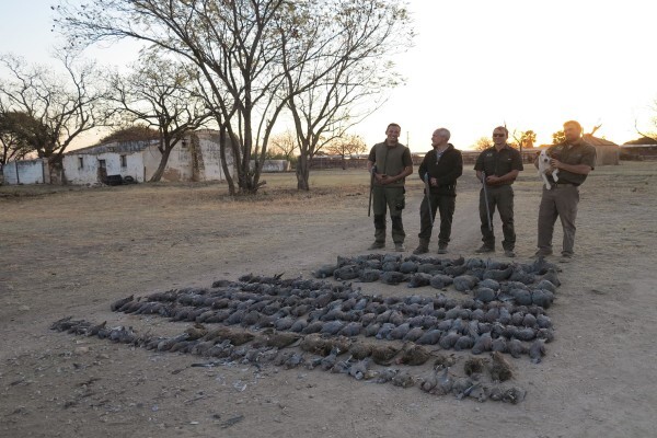 Bennie Osmers Hunting Safaris