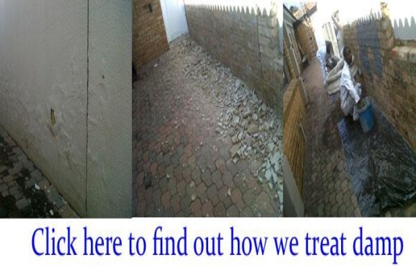 Benoni Office Renovations (Wertan Projects)