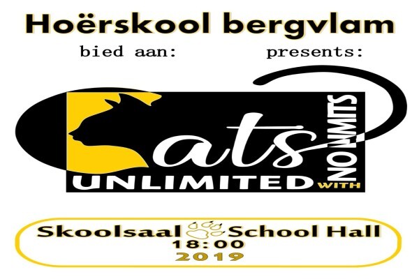 Bergvlam