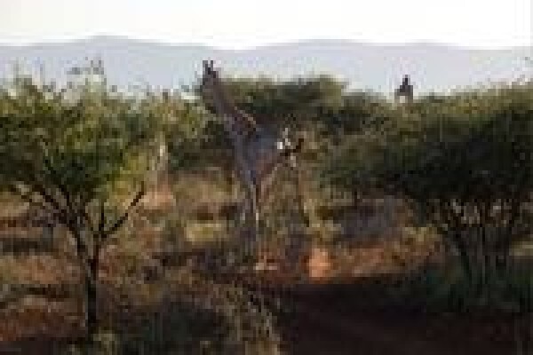 Beyond Zulu Experience