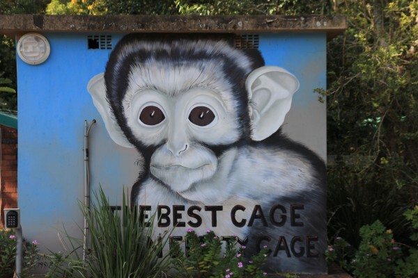 Centre For Rehabilitation Of Wildlife