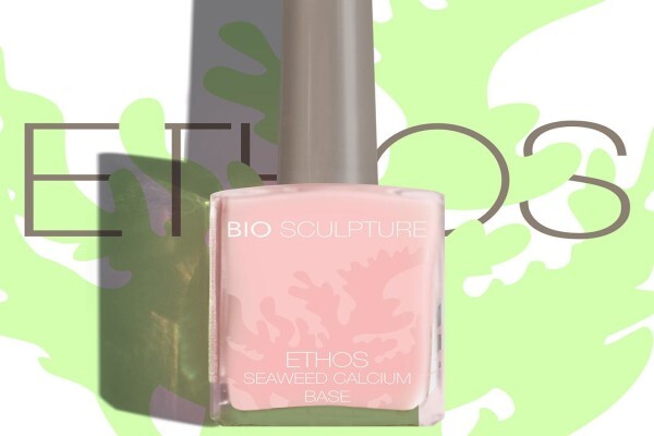 Bio Sculpture Natal Training And Distribution Centre