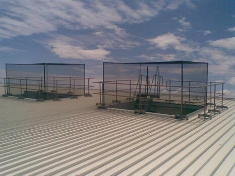 Bird Control Cape Town (Bird Repel Services)