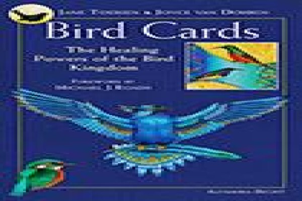 Bird Cards