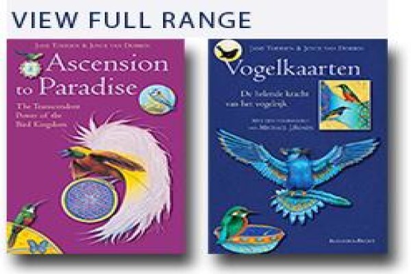 Bird Cards