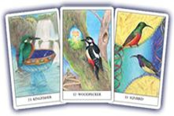 Bird Cards