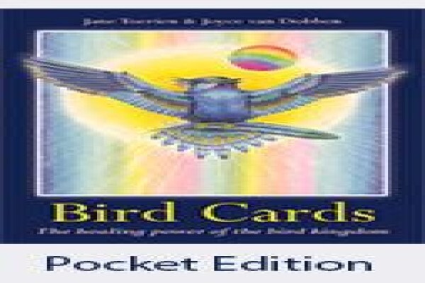 Bird Cards