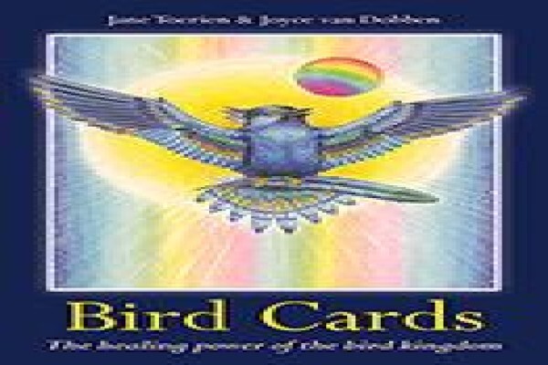 Bird Cards