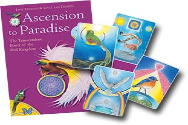 Bird Cards
