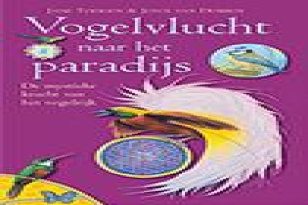 Bird Cards