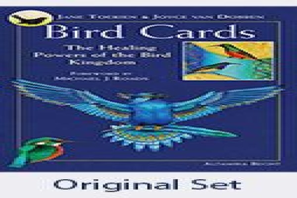 Bird Cards