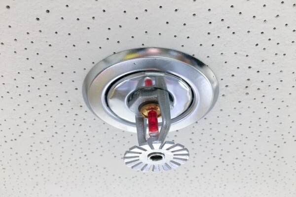 Bizzy Fire Control Cc