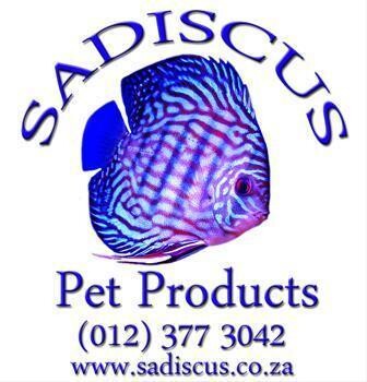 Sadiscus
