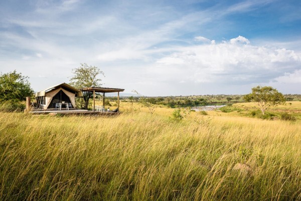 Safari Royale