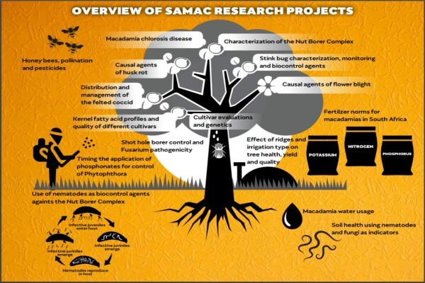 Samac