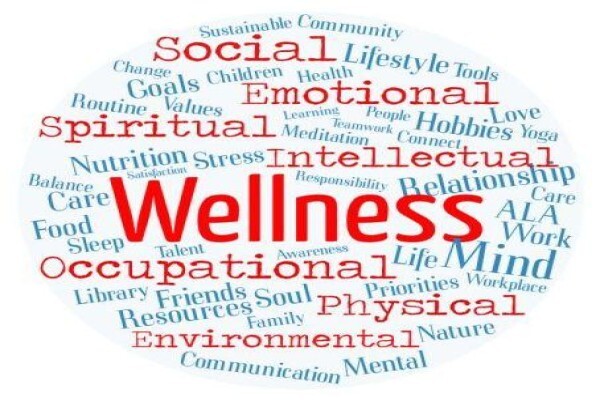 Sanga Wellness