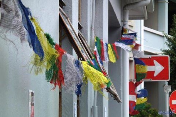 Sangha Spot Yoga And Wellness Centre
