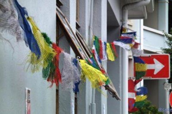 Sangha Spot Yoga And Wellness Centre