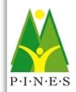 Pines Kliniek