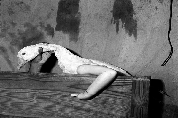 Roger Ballen
