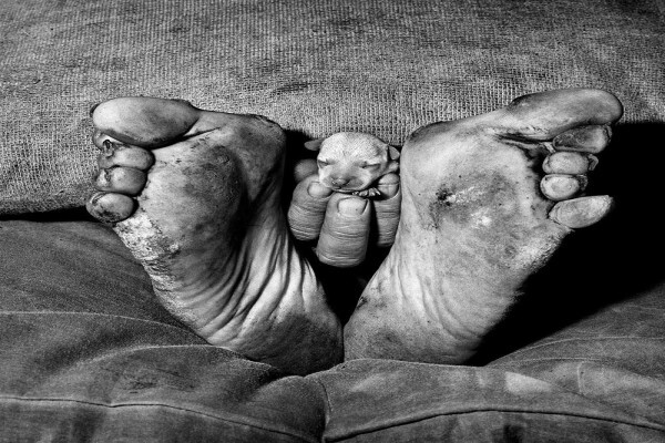 Roger Ballen