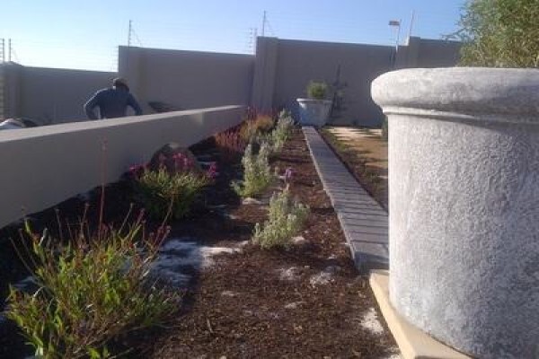 Roots And Shoots Landscaping